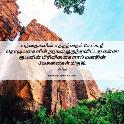 Picture 06 - நியாயாதிபதிகள் 5:16 TAMIRV - மந்தைகளின் - Bible Verse Picture