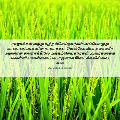 Picture 06 - நியாயாதிபதிகள் 5:19 TAMIRV - ராஜாக்கள் வந்து - Bible Verse Picture