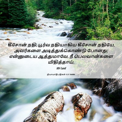 Picture 06 - நியாயாதிபதிகள் 5:21 TAMIRV - கீசோன் நதி, பூர்வ - Bible Verse Picture