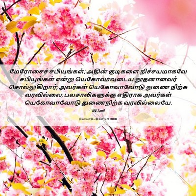 Picture 06 - நியாயாதிபதிகள் 5:23 TAMIRV - மேரோசைச் - Bible Verse Picture