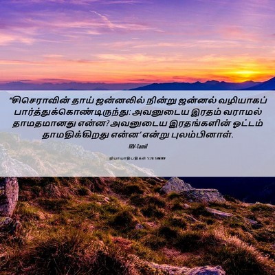 Picture 06 - நியாயாதிபதிகள் 5:28 TAMIRV - “சிசெராவின் தாய் - Bible Verse Picture