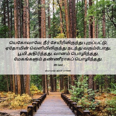 Picture 06 - நியாயாதிபதிகள் 5:4 TAMIRV - யெகோவாவே, நீர் - Bible Verse Picture