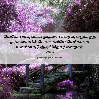 Picture 06 - நியாயாதிபதிகள் 6:12 TAMIRV - யெகோவாவுடைய - Bible Verse Picture