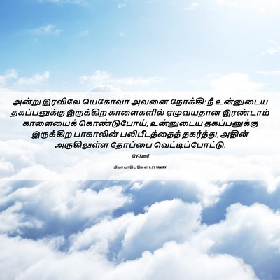 Picture 06 - நியாயாதிபதிகள் 6:25 TAMIRV - அன்று இரவிலே - Bible Verse Picture