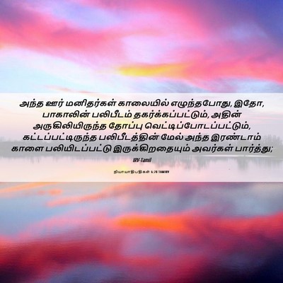 Picture 06 - நியாயாதிபதிகள் 6:28 TAMIRV - அந்த ஊர் - Bible Verse Picture