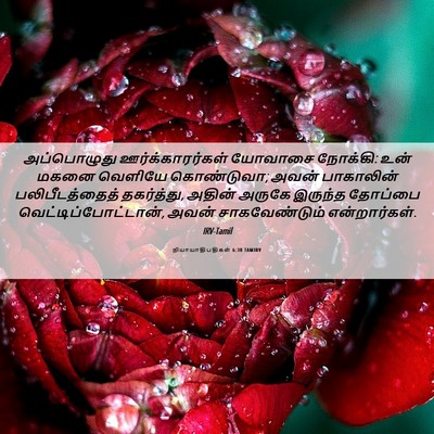 Picture 06 - நியாயாதிபதிகள் 6:30 TAMIRV - அப்பொழுது - Bible Verse Picture