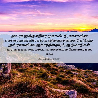 Picture 06 - நியாயாதிபதிகள் 6:4 TAMIRV - அவர்களுக்கு எதிரே - Bible Verse Picture