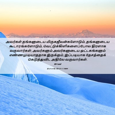 Picture 06 - நியாயாதிபதிகள் 6:5 TAMIRV - அவர்கள் தங்களுடைய - Bible Verse Picture