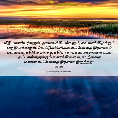 Picture 06 - நியாயாதிபதிகள் 7:12 TAMIRV - மீதியானியர்களும், - Bible Verse Picture