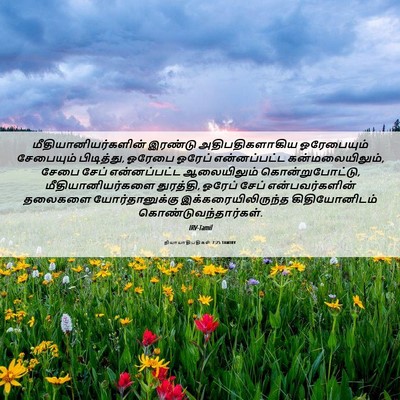 Picture 06 - நியாயாதிபதிகள் 7:25 TAMIRV - மீதியானியர்களின் - Bible Verse Picture