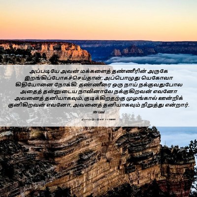 Picture 06 - நியாயாதிபதிகள் 7:5 TAMIRV - அப்படியே அவன் - Bible Verse Picture