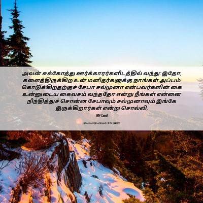Picture 06 - நியாயாதிபதிகள் 8:15 TAMIRV - அவன் சுக்கோத்து - Bible Verse Picture