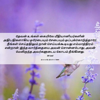 Picture 06 - நியாயாதிபதிகள் 8:3 TAMIRV - தேவன் உங்கள் - Bible Verse Picture
