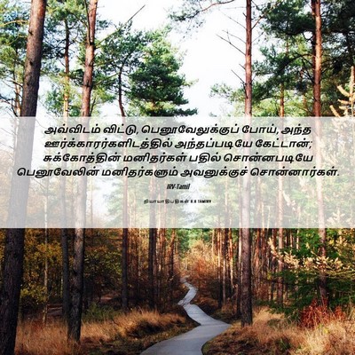 Picture 06 - நியாயாதிபதிகள் 8:8 TAMIRV - அவ்விடம் விட்டு, - Bible Verse Picture