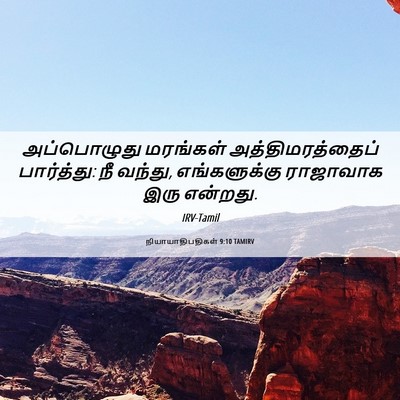 Picture 06 - நியாயாதிபதிகள் 9:10 TAMIRV - அப்பொழுது மரங்கள் - Bible Verse Picture