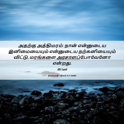 Picture 06 - நியாயாதிபதிகள் 9:11 TAMIRV - அதற்கு அத்திமரம்: - Bible Verse Picture