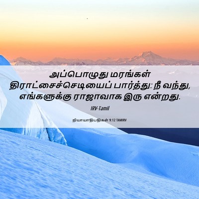 Picture 06 - நியாயாதிபதிகள் 9:12 TAMIRV - அப்பொழுது மரங்கள் - Bible Verse Picture