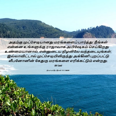 Picture 06 - நியாயாதிபதிகள் 9:15 TAMIRV - அதற்கு - Bible Verse Picture