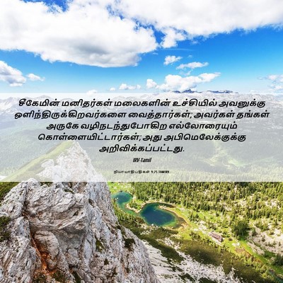 Picture 06 - நியாயாதிபதிகள் 9:25 TAMIRV - சீகேமின் - Bible Verse Picture