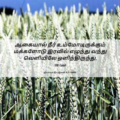 Picture 06 - நியாயாதிபதிகள் 9:32 TAMIRV - ஆகையால் நீர் - Bible Verse Picture