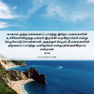 Picture 06 - நியாயாதிபதிகள் 9:36 TAMIRV - காகால் அந்த - Bible Verse Picture