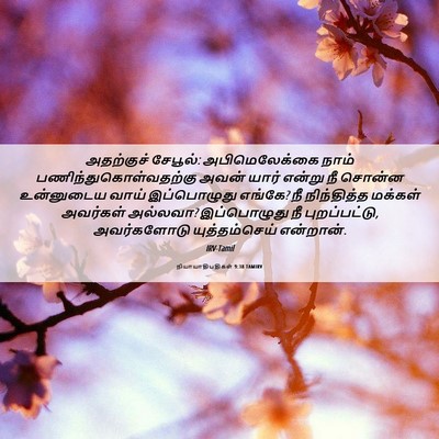 Picture 06 - நியாயாதிபதிகள் 9:38 TAMIRV - அதற்குச் சேபூல்: - Bible Verse Picture
