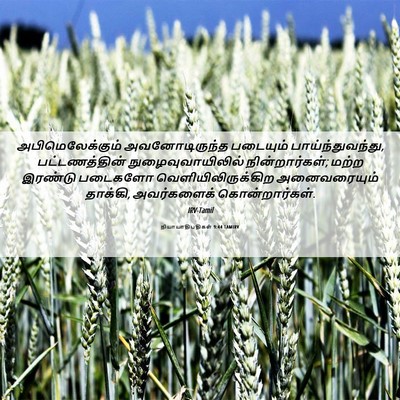 Picture 06 - நியாயாதிபதிகள் 9:44 TAMIRV - அபிமெலேக்கும் - Bible Verse Picture