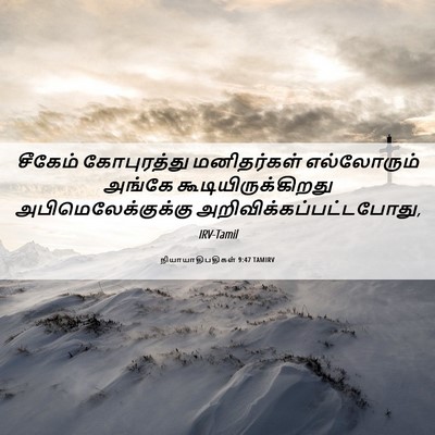 Picture 06 - நியாயாதிபதிகள் 9:47 TAMIRV - சீகேம் கோபுரத்து - Bible Verse Picture