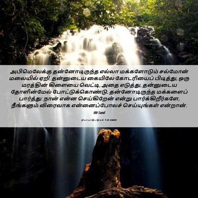 Picture 06 - நியாயாதிபதிகள் 9:48 TAMIRV - அபிமெலேக்கு - Bible Verse Picture