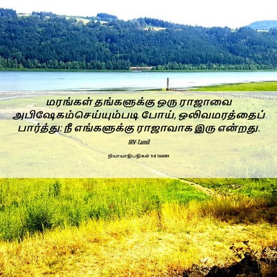 Picture 06 - நியாயாதிபதிகள் 9:8 TAMIRV - மரங்கள் - Bible Verse Picture