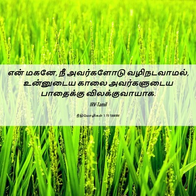 Picture 06 - நீதிமொழிகள் 1:15 TAMIRV - என் மகனே, நீ - Bible Verse Picture