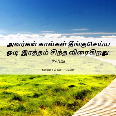 Picture 06 - நீதிமொழிகள் 1:16 TAMIRV - அவர்கள் கால்கள் - Bible Verse Picture