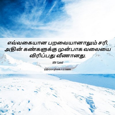 Picture 06 - நீதிமொழிகள் 1:17 TAMIRV - எவ்வகையான - Bible Verse Picture