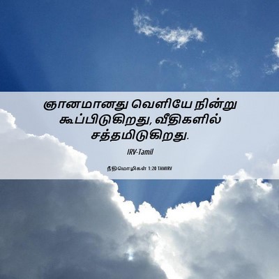 Picture 06 - நீதிமொழிகள் 1:20 TAMIRV - ஞானமானது வெளியே - Bible Verse Picture
