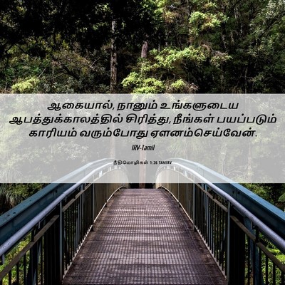 Picture 06 - நீதிமொழிகள் 1:26 TAMIRV - ஆகையால், நானும் - Bible Verse Picture