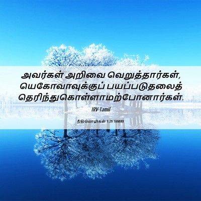 Picture 06 - நீதிமொழிகள் 1:29 TAMIRV - அவர்கள் அறிவை - Bible Verse Picture