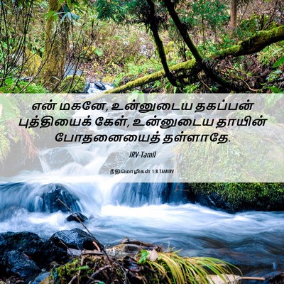 Picture 06 - நீதிமொழிகள் 1:8 TAMIRV - என் மகனே, உன்னுடைய - Bible Verse Picture
