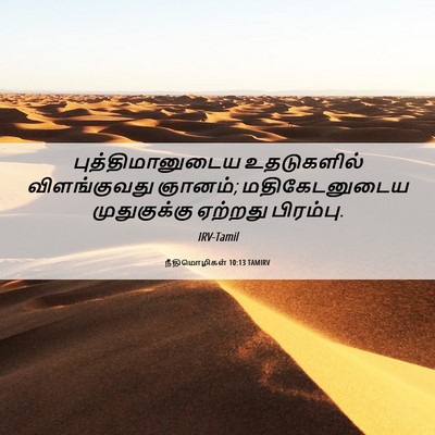 Picture 06 - நீதிமொழிகள் 10:13 TAMIRV - புத்திமானுடைய - Bible Verse Picture