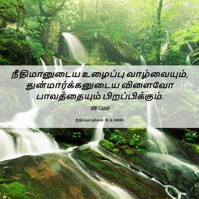 Picture 06 - நீதிமொழிகள் 10:16 TAMIRV - நீதிமானுடைய - Bible Verse Picture