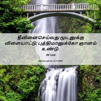 Picture 06 - நீதிமொழிகள் 10:23 TAMIRV - தீவினைசெய்வது - Bible Verse Picture