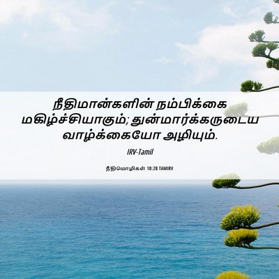 Picture 06 - நீதிமொழிகள் 10:28 TAMIRV - நீதிமான்களின் - Bible Verse Picture