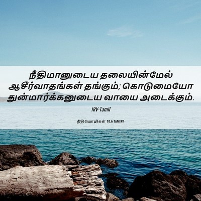 Picture 06 - நீதிமொழிகள் 10:6 TAMIRV - நீதிமானுடைய - Bible Verse Picture