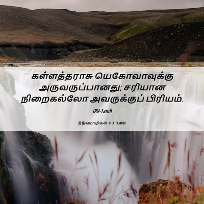 Picture 06 - நீதிமொழிகள் 11:1 TAMIRV - கள்ளத்தராசு - Bible Verse Picture