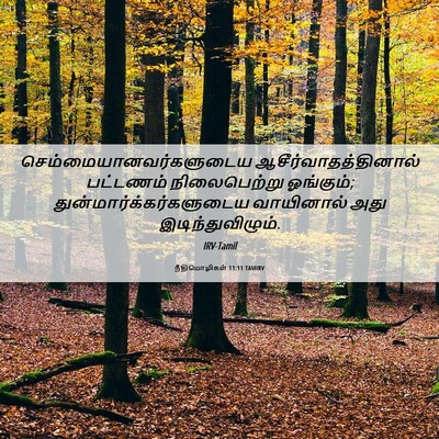 Picture 06 - நீதிமொழிகள் 11:11 TAMIRV -  - Bible Verse Picture