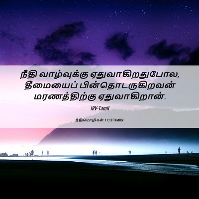 Picture 06 - நீதிமொழிகள் 11:19 TAMIRV - நீதி வாழ்வுக்கு - Bible Verse Picture