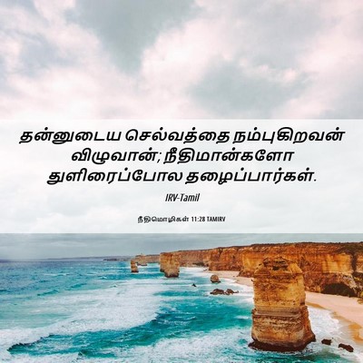 Picture 06 - நீதிமொழிகள் 11:28 TAMIRV - தன்னுடைய - Bible Verse Picture