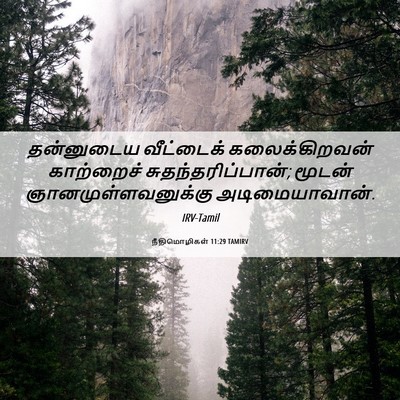 Picture 06 - நீதிமொழிகள் 11:29 TAMIRV - தன்னுடைய வீட்டைக் - Bible Verse Picture