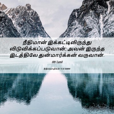 Picture 06 - நீதிமொழிகள் 11:8 TAMIRV - நீதிமான் - Bible Verse Picture