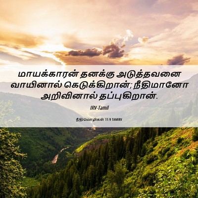 Picture 06 - நீதிமொழிகள் 11:9 TAMIRV - மாயக்காரன் தனக்கு - Bible Verse Picture