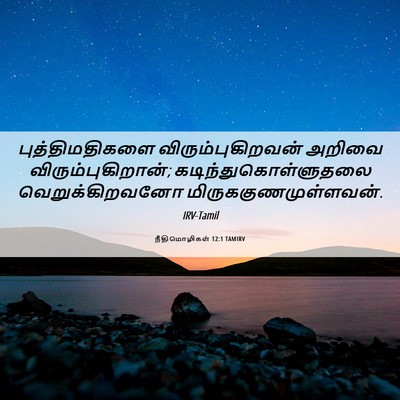 Picture 06 - நீதிமொழிகள் 12:1 TAMIRV - புத்திமதிகளை - Bible Verse Picture